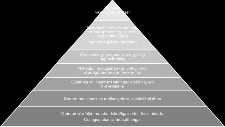 Växtskydd i ekologisk produktion en grund för IPM Byt inte ett kemiskt växtskyddsmedel mot ett biologiskt eller en förebyggande metod.