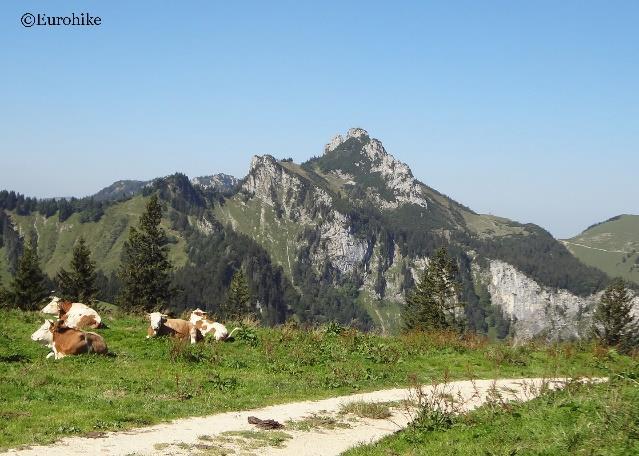 Königsee till Chiemsee, 7 nätter 3(6) ser den ligga inbäddad i en sänka på Rauhe Nadel, på 1138meters höjd. Dagen avslutas med vandring neråt till Achental och Unterwössen.