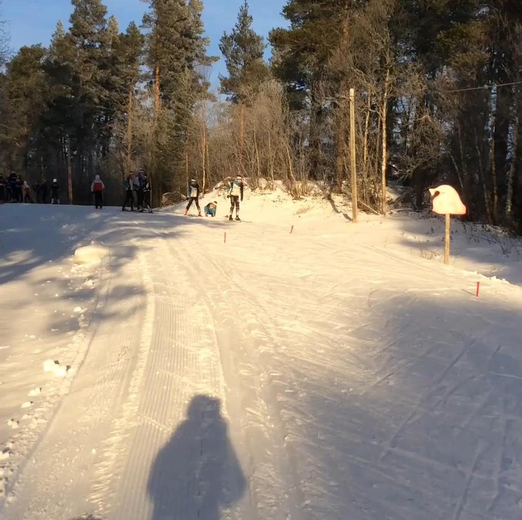 Slalom med bollkast