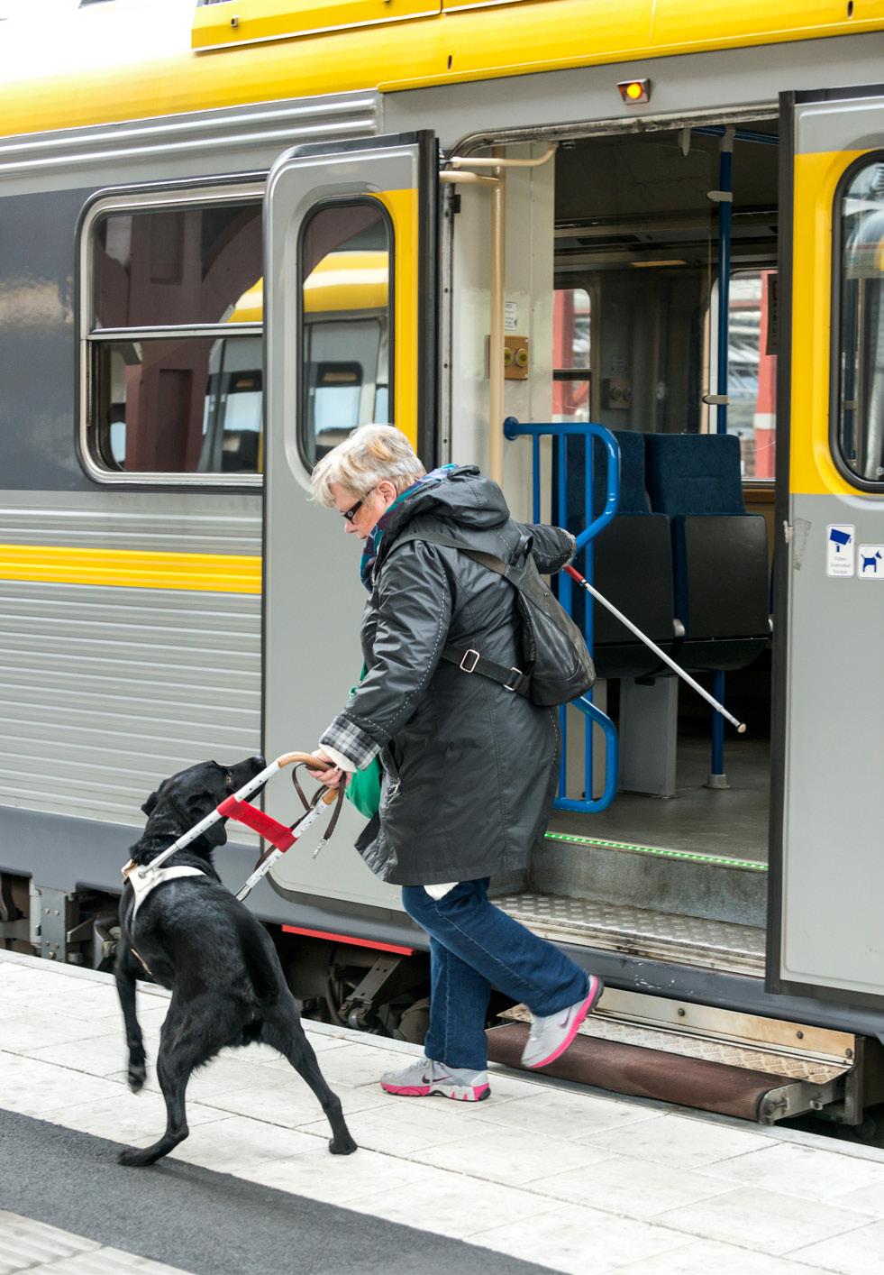 Revisionsberättelse och årsredogörelse Som underlag till kommunfullmäktiges ansvarsprövning av stadens nämnder och bolag lämnar revisorerna årligen en revisionsberättelse och en årsredo görelse.