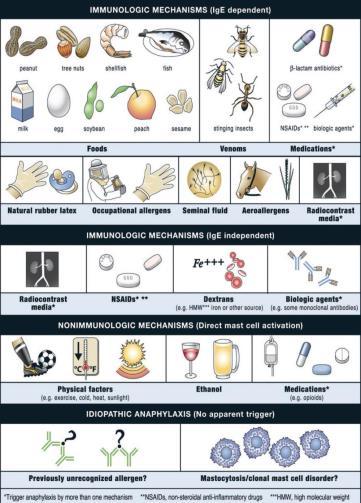 Vad är anafylaxi patofysiologiska mekanismer Immunologisk IgE medierad Barn: födoämnen Vuxna: födoämnen / insektsbett /