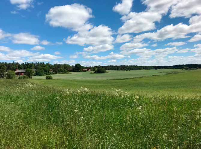 Inledning Ip-Only Networks AB avser att schakta och för ny fiberkabel i Flodabygden i Katrineholms kommun.