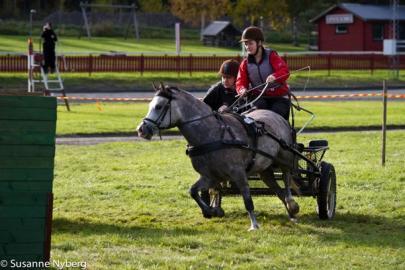 Championatet Kat C Rebecca Persson Chaplin SURF 22 poäng Championatet Kat D Ida Töyrä Ilion URF 38 poäng Körning Grenledare Ulrika Nilsson Det har varit 7 körtävlingar i distriktet med 20-40 starter