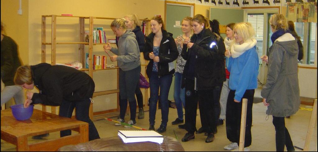 Projekt 2011 Västerbottens Ridsportförbund Utvecklar demokratin inom Ungdomssektionerna i ett projekt finansierat med 350 000:- av Ungdomsstyrelsen.