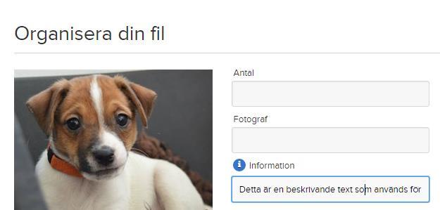 Det gör man via en drop-down i dialogen för Metadatadefinitioner under. 13.2.