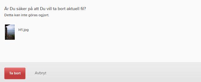 17. Ta bort filer För att ta bort en fil väljer du helt enkelt filen genom ett klick på filikonen i visningsområdet.