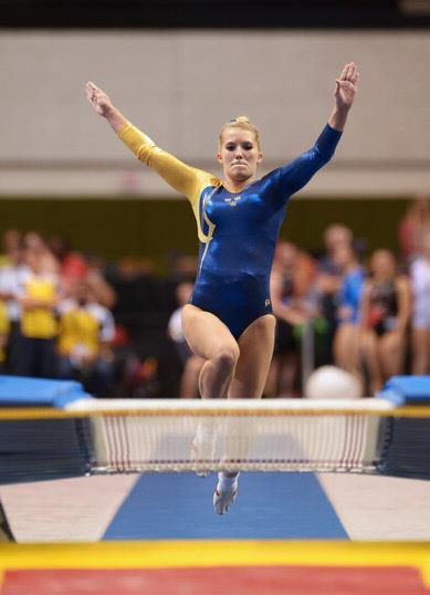 Kretshoppet avgjord 2014-12-01 Klippans GK arrangerade i helgen regionstävlingen Kretshoppet. Tävlingen samlade 76 starter av gymnaster från fem olika klubbar. Resultaten finns upplagda här intill.