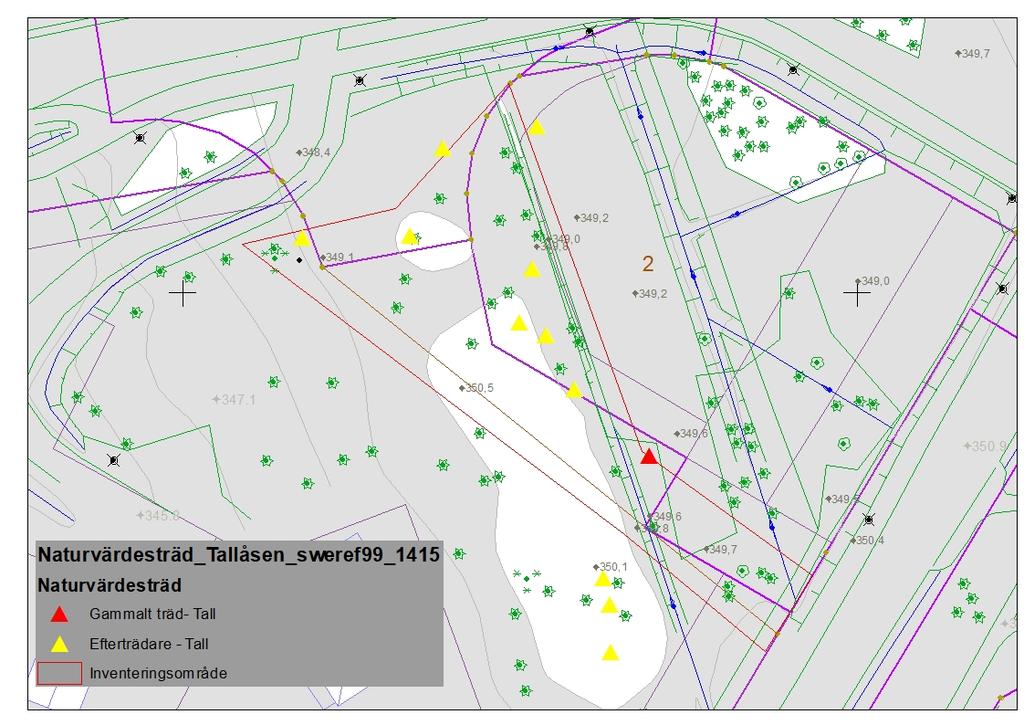 5. Resultat 12 naturvärdesträd har identifierats, varav 3 precis söder om avgränsningen. Av dessa är samtliga 12 träd tallar.