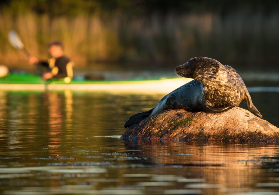 Ett område med förutsättningar och visioner: Biosfärområde Blekinge Arkipelag Biosfärområde Blekinge Arkipelag är utsett av FN-organet UNESCO för att bevara våra höga natur- och