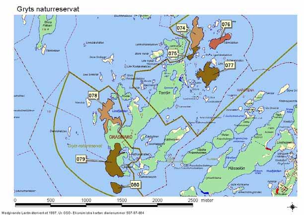 Natura 2000-område Natura 2000-kod Diarienummer Bilaga 2 Sida 30 av 39 Reservatsdelen av nordöstra delen av Torrön består i huvudsak av trivial blåbärstallskog med inslag av små sumpskogar och kärr.