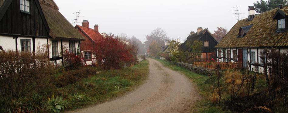 Du börjar vandringen i Simrishamn och följer det blånande havet, längs vita sandstränder och örtrika strandängar. Du passerar små fiskelägen och Österlens berömda äppelodlingar.