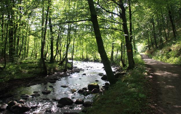 Österlenleden, Simrishamn Alunbruket, 4 nätter Sida 3 av 5 Dag 4 Brösarp Alunbruket Den sista dagen tar leden dig över Brösarps norra backar och in i den skånska bokskogen.