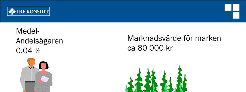 Mora JordägaresSamfällighetsförening förvaltar värden på närmre 200 miljoner åt sina delägare. En årlig nettoavkastning bedöms till 2-3 miljoner. Det skulle i så fall ge en avkastning på ca 1,5 %.