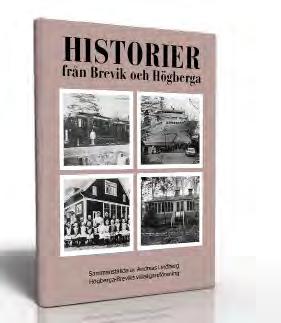 Jämfört med Lidingö i stort finns det fler moderater, färre socialdemokrater och färre sverigedemokrater i vårt område (riksdag).