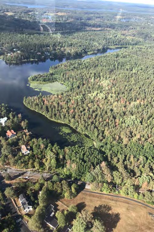 Brevik från luften En dag i augusti hade villaägareföreningen ordnat möjligheten att se Brevik från luften. Ett drygt 50-tal förväntansfulla passagerare samlades nere vid båthamnen.