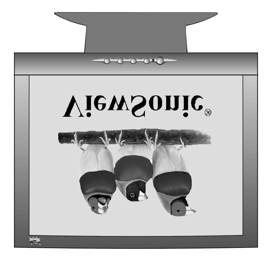VE700 ViewPanel User Guide Guide de l utilisateur Bedienungsanleitung Guía del usuario Guida dell'utente Guia