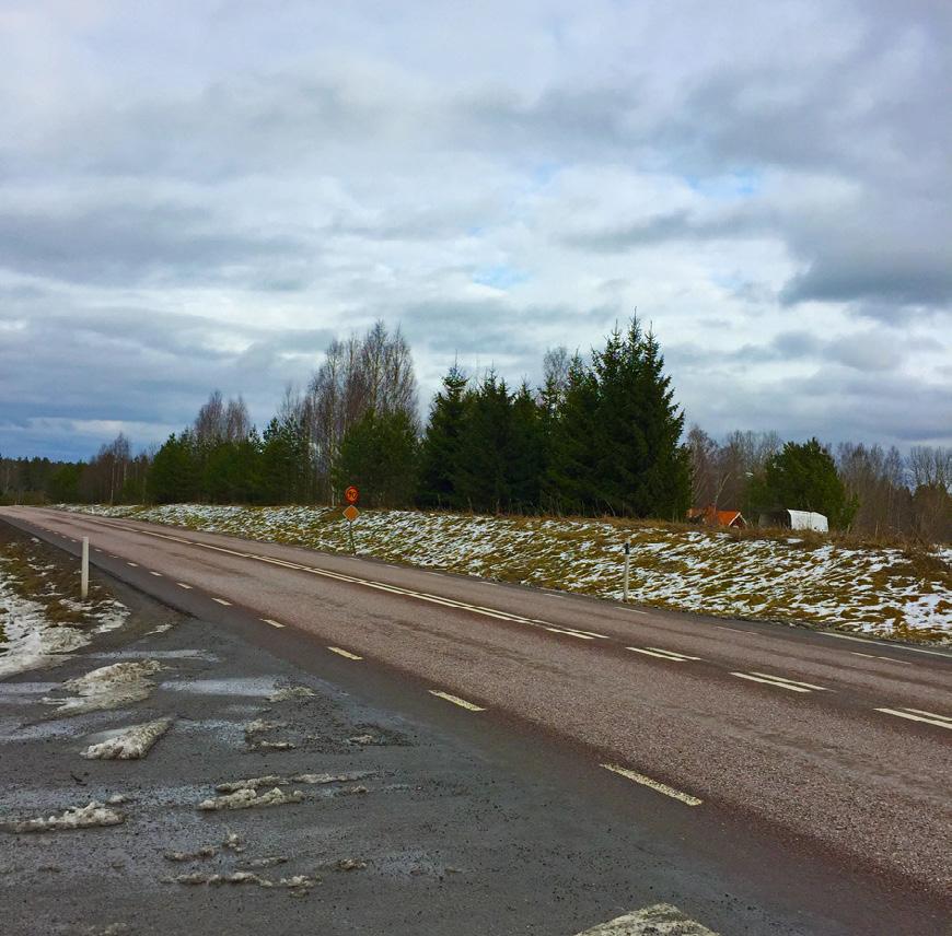 Om vegetation etableras genom sådd ska fröblandningen vara anpassad för låg skötselintensitet och med förmåga att binda jorden.