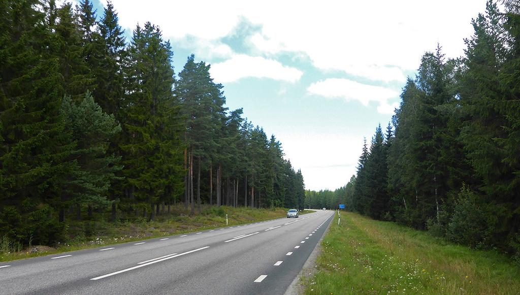 2.4 Vegetation Markvegetation Vegetationstäckning i vägens sidoområde har stor betydelse för hur vägen upplevs i landskapet.