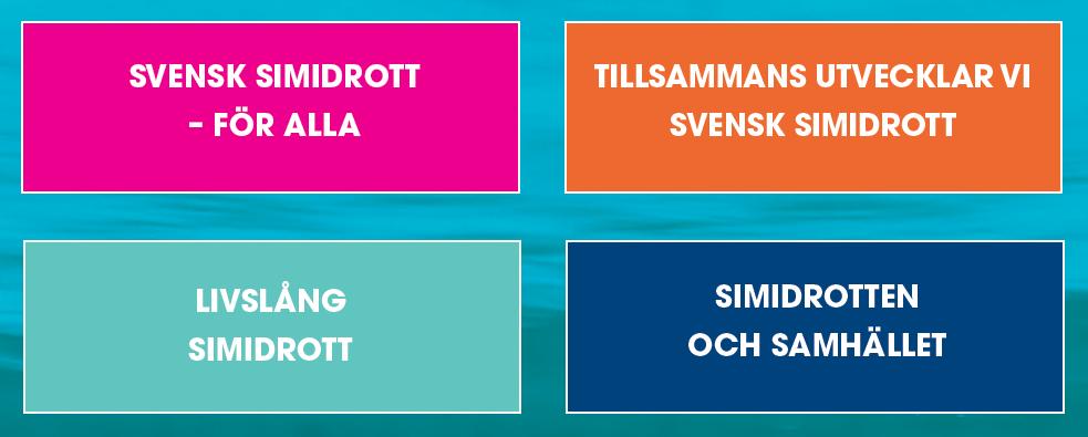 2 (9) Strategiplan för MNSF 2018-2025 De övergripande långsiktiga målen för MNSF baseras på SSF fyra strategiska områden för 2018-2015 enligt nedan.