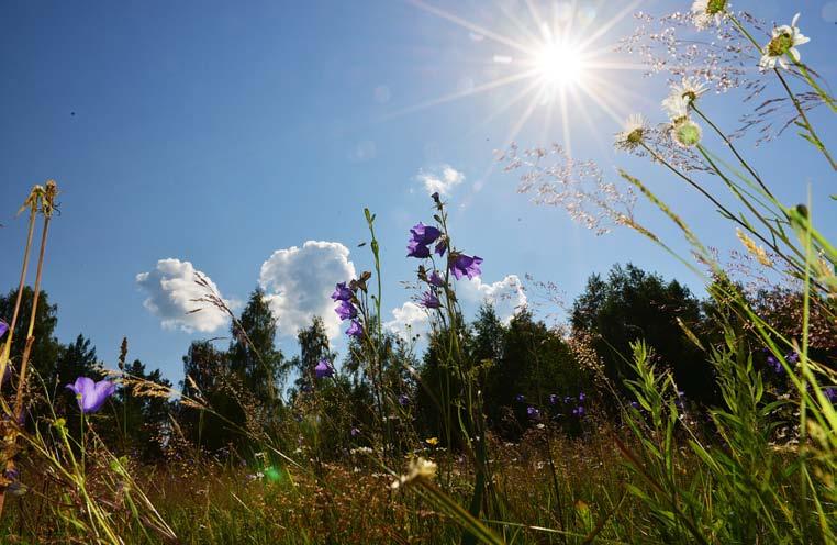 ......förväntar sig att kommunens nya styre Tillsammans för Tyresö menar att vi tillsammans och omedelbart ska genomföra nödvändiga KLIMATOMSTÄLLNINGAR.