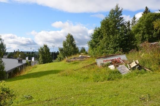 Inom idrottsplatsen i områdets södra del finns idrottsplaner belagda med naturgräs, konstgräs och olika former av grus.