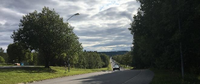 Vid idrottsplatsen ersätts björkarna med relativt tät sly- och trädvegetation som efter ett kort avbrott vid förskolan återupptas invid korsningen med Fröjavägen i norr.