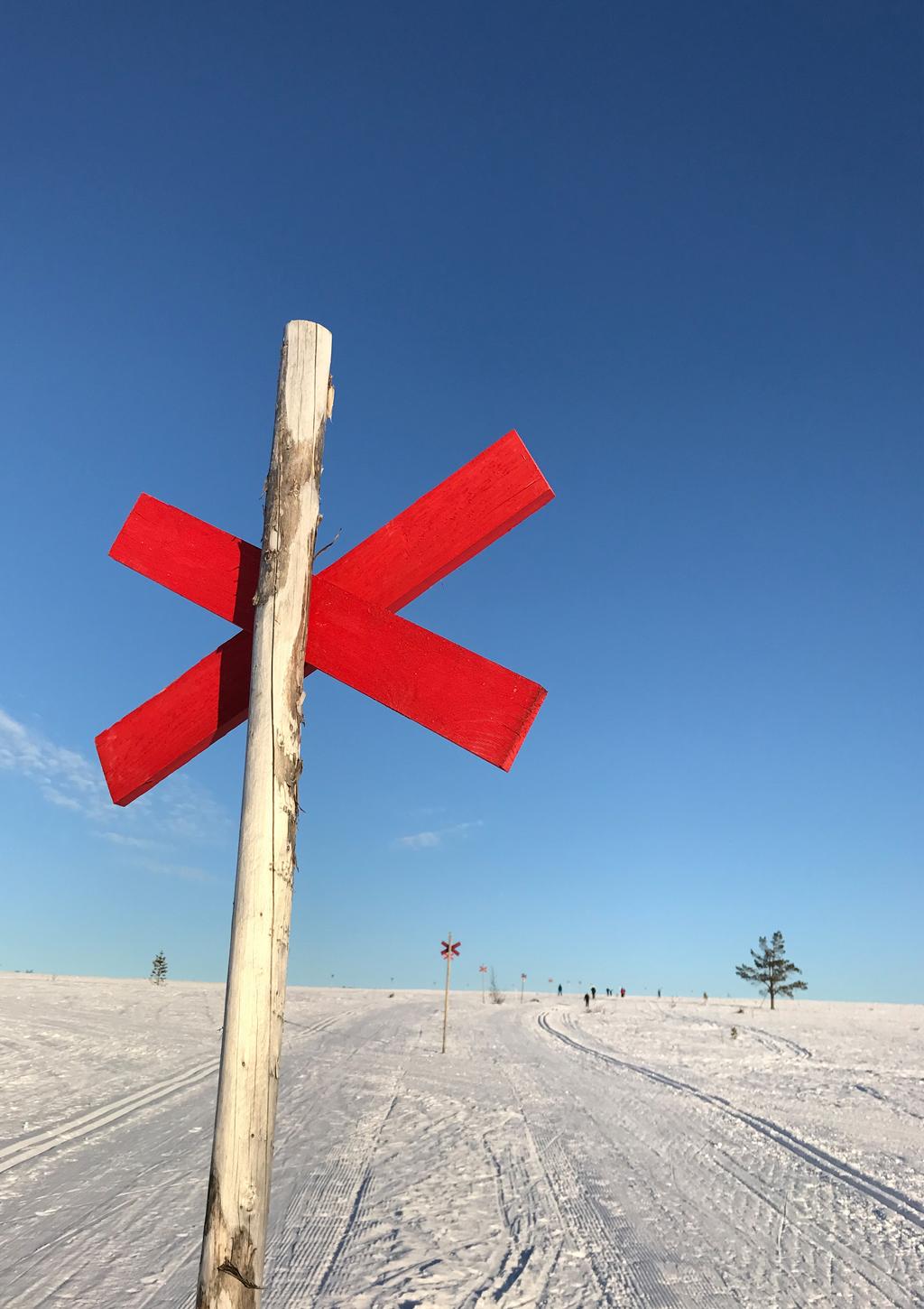 Kyrknytt