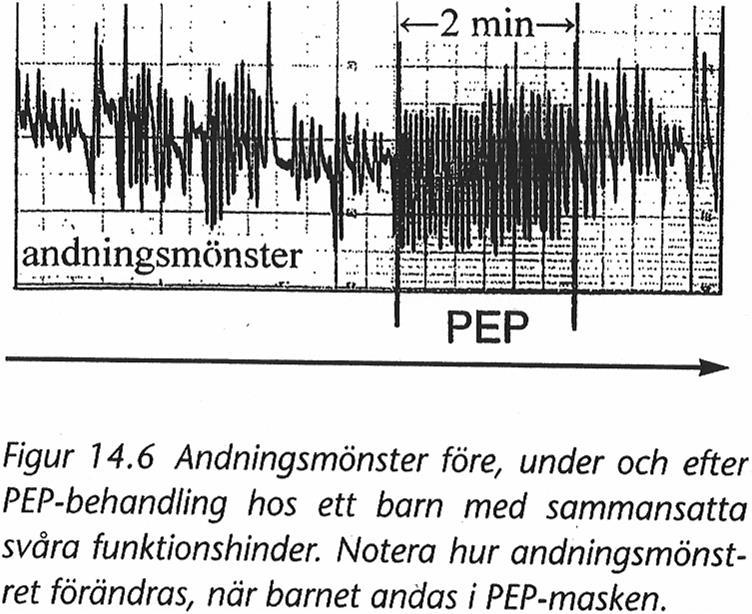 Lagerkvist A-L et al. I: Olséni L et al.