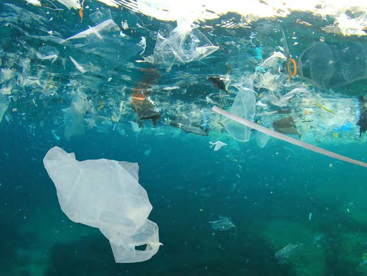 Skräpet i havet och på stränder I våra hav flyter mer än 150 miljoner ton plast runt. Och det bara fylls på.