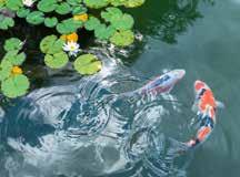 TOP PICKS 14 PADDAN CANAL BOATS A fun and relaxed way to