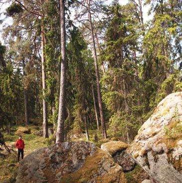 Hitta ut till natur- och kulturreservat längs Jungfrukusten Längs Jungfrukusten finns drygt 30 natur- och kulturreservat.