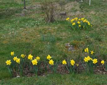 Vad som händer i naturen i mars månad 31 dagar. Kallas vårmånad är vår tredje månad, den första i den Romerska kalendern.