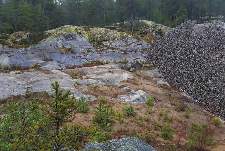 Utredningsresultat Vid kart- och arkivstudierna hittades inget som kunde indikera att området skulle rymma forn- eller kulturlämningar av antikvariskt intresse från historisk tid.