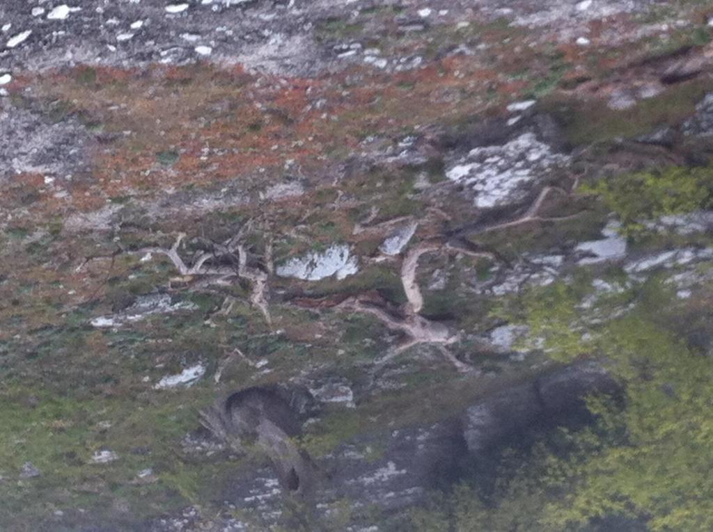 66 meter hög är Lilla Karlsö, näst högst efter Lojsta med sina 82 meter (eller 83 eller vilket man vill välja), Stora