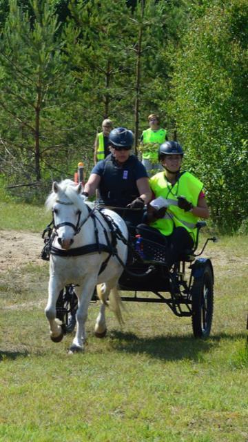 Hanna deltog i två omgångar vilket resulterade i en total andraplats i cupens lätta klass. Även Malin Stockmar Karlqvist med Glorias Concorde och Matilda Bolin Quicki deltog i en av omgångarna.