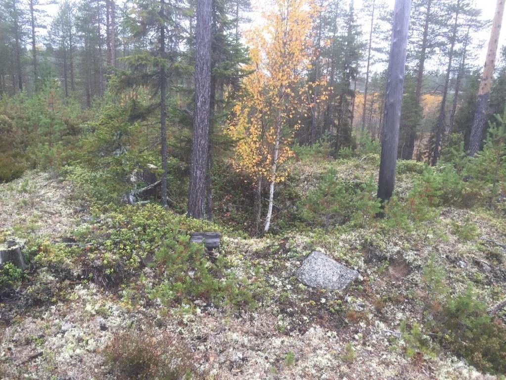 år 2017 Lämningar ur Länsstyrelsens tipsregister i Eds, Edsele,