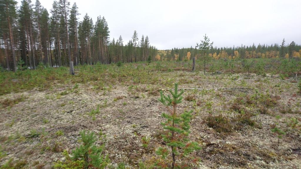 Ett antal objekt ur det digitala tipsregistret visade sig vara naturbildningar eller recenta täkter, efter grus eller sten.