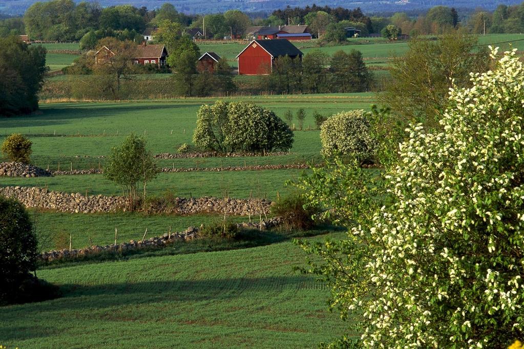 AKTUELLT PÅ NATURVÅRDSVERKET Claes Svedlindh 2018-11-20