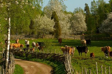 Samverkansgrupp för värdefull natur och jordbruksstöd Gruppen ska stimulera samverkan mellan berörda myndigheter inom området.