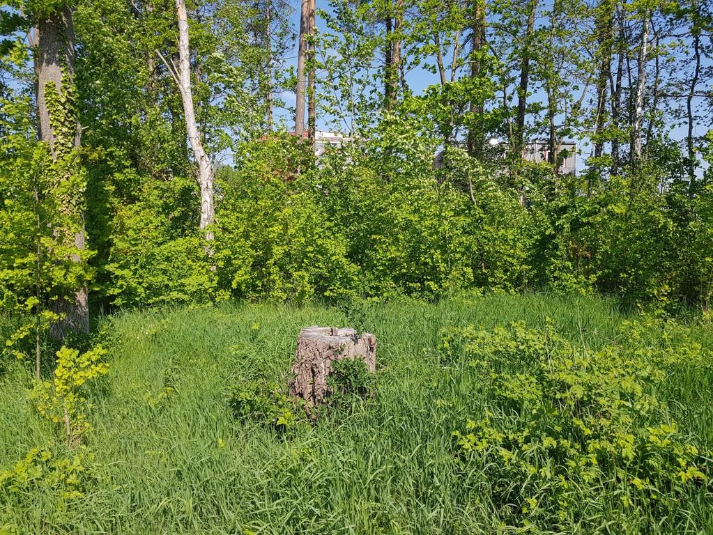 bostadsområdet från varandra. Foto taget maj 2018.