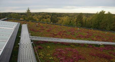 På basis av tjockleken och kvaliteten på vegetationen kan de gröna taken generellt indelas i två huvudtyper: extensiva och intensiva gröna tak.