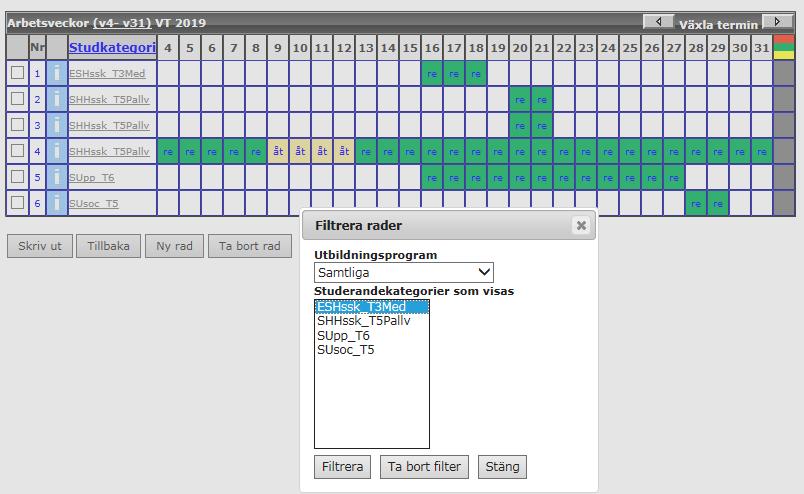 13 Filtrera rader i rutsystemet Om det rutsystemet är stort och inte får plats på skärmen utan man får scrolla så går det att filtrera. Klicka på länken studerandekategori.
