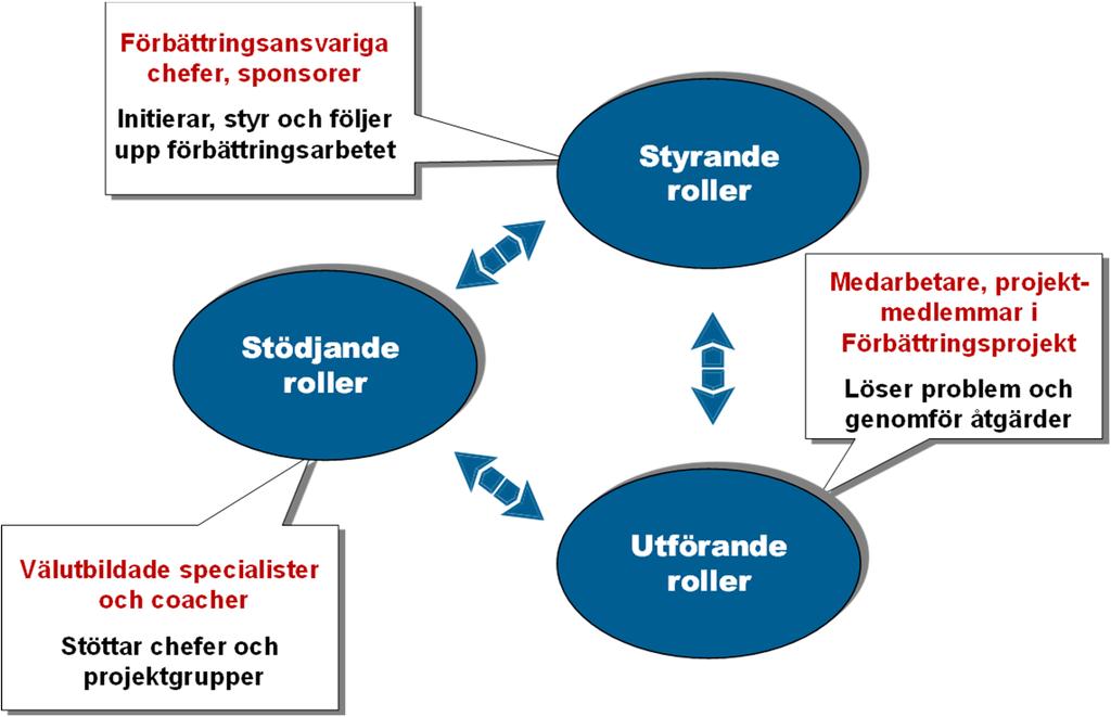 Organisation Förbättringar seger lokalt och tvärfunktionellt Roller,