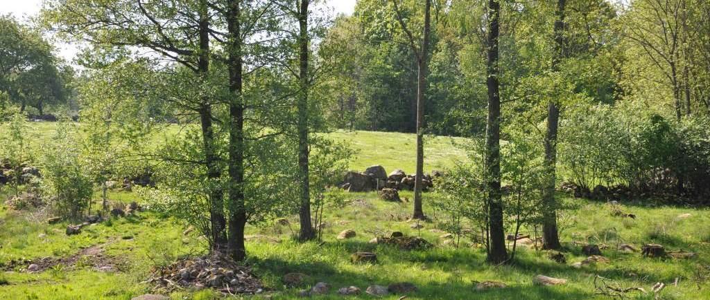 Villkor Förutsättningarna för denna försäljning framgår av denna beskrivning samt eventuell tilläggsinformation.