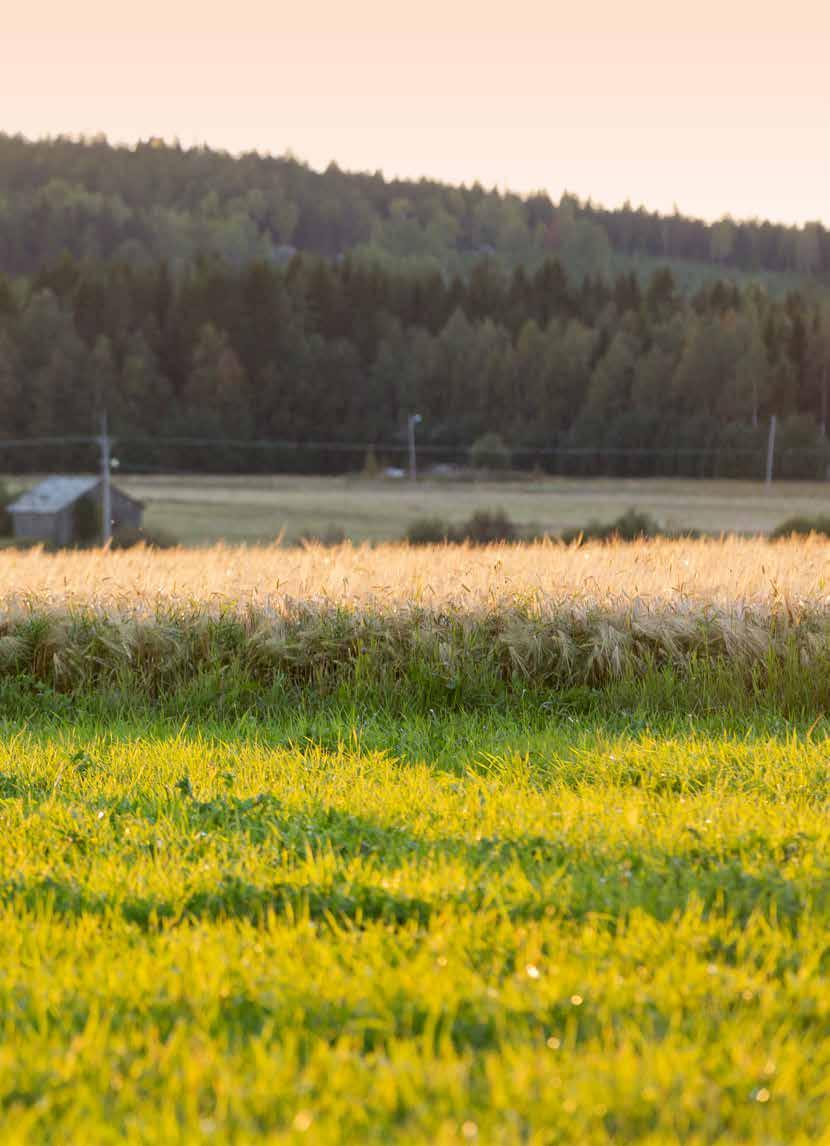 3 R. Quicke X-serien är vår