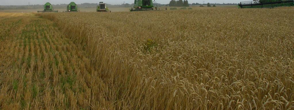 Available ground water for different soil categories Available ground water Enough for yield centner/ha Year Rape Winter wheat Winter triticale Winter barley Fall rye Spring wheat Spring barley Rape