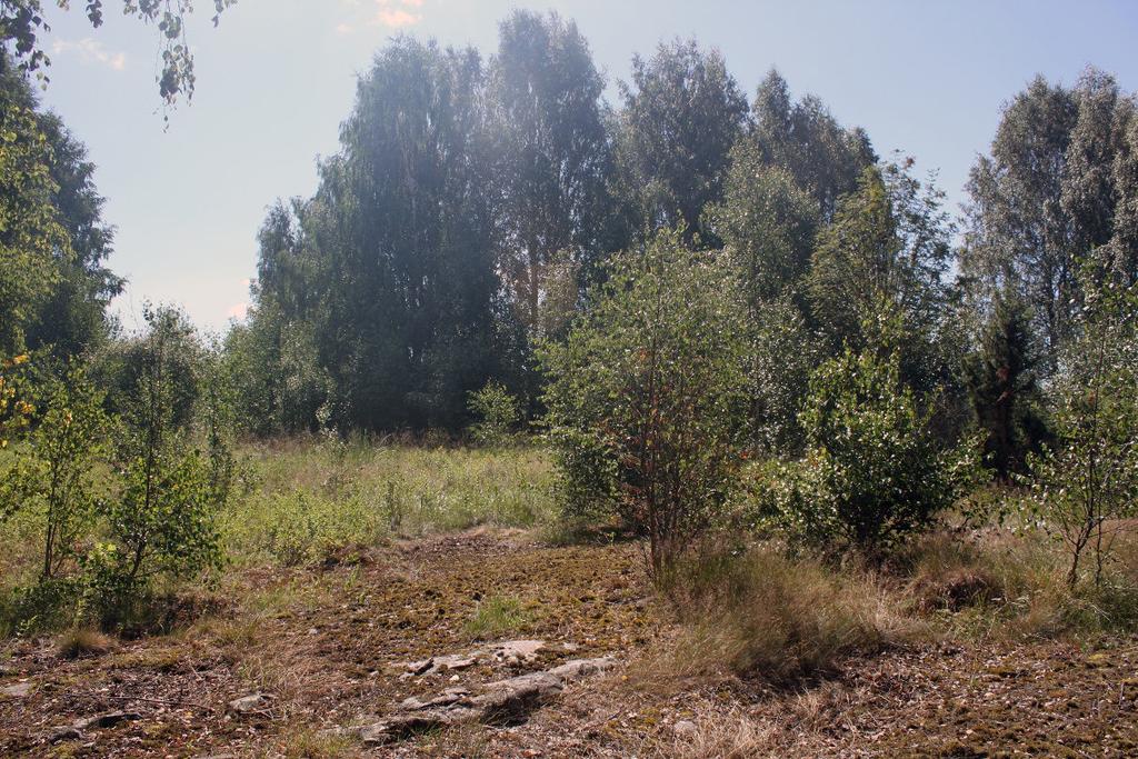 Silikatgräsmark 6270 Mindre område om ca 4 ha i Nolgårdsviken som ligger som en ö i fuktängen som också ska restaureras. Marken är frisk till blöt med hällmark centralt.