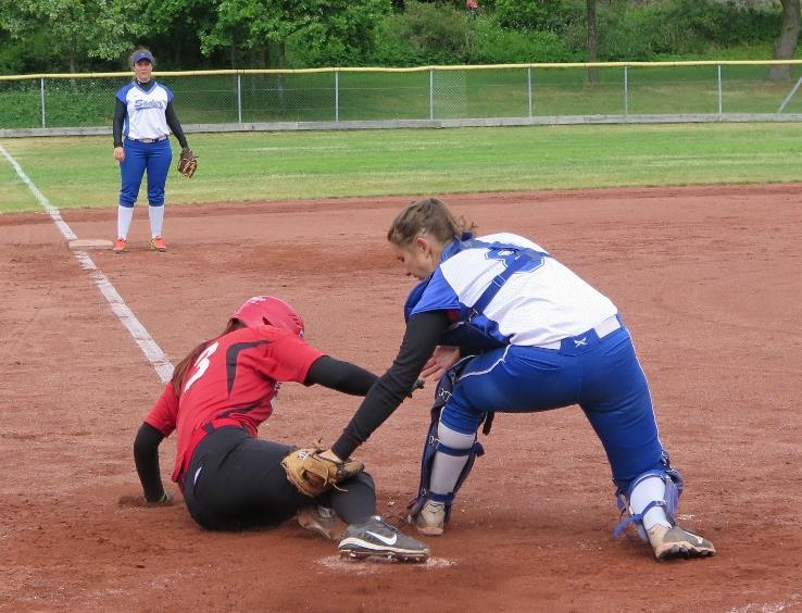 Föreningar Medlemmar i Stockholms Baseboll och Softboll Förbund och deras verksamhet: Förening Idrott Senior Junior Ungdom Alby IF Baseball Baseboll x x Enskede BG BBK Baseboll x Kungsängen City