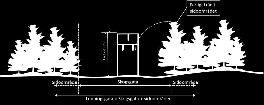 4 Utförande, drift och underhåll 4.1 Anläggande och försiktighetsåtgärder 4.1.1 Trädsäker luftledning E.