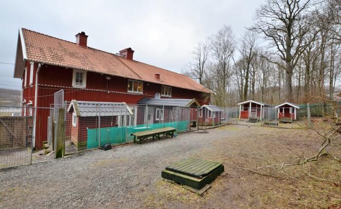 Gården Katt och hundstall med